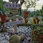 Bed & Breakfast Al Nifontano - Ideal For Family Or Couples - 2 - Lakeview Varese